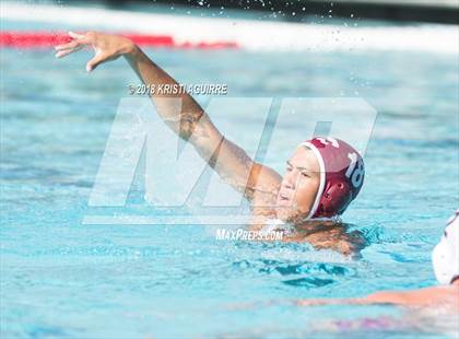 Thumbnail 2 in Arlington @ Paloma Valley photogallery.