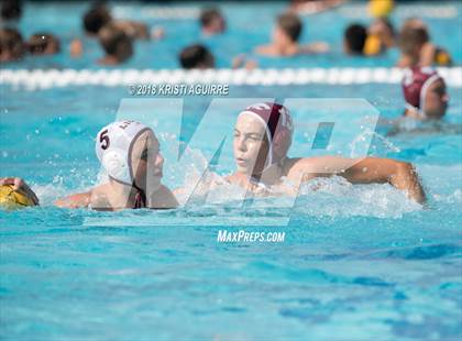 Thumbnail 3 in Arlington @ Paloma Valley photogallery.