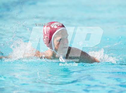 Thumbnail 1 in Arlington @ Paloma Valley photogallery.
