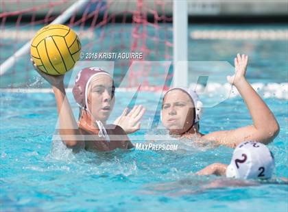 Thumbnail 1 in Arlington @ Paloma Valley photogallery.