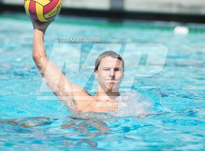 Thumbnail 3 in Arlington @ Paloma Valley photogallery.