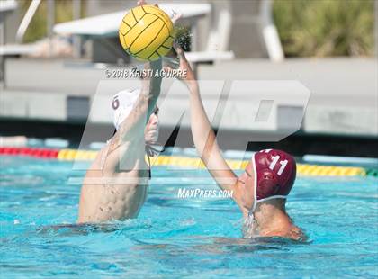 Thumbnail 1 in Arlington @ Paloma Valley photogallery.