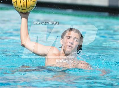 Thumbnail 2 in Arlington @ Paloma Valley photogallery.