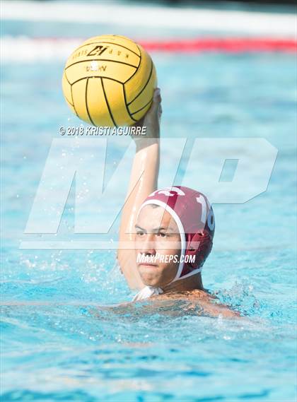 Thumbnail 1 in Arlington @ Paloma Valley photogallery.