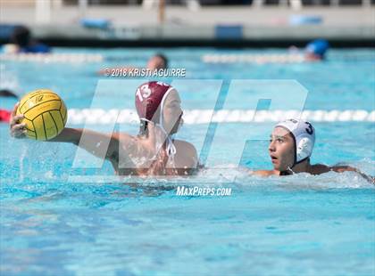 Thumbnail 2 in Arlington @ Paloma Valley photogallery.