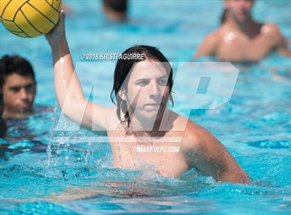 Thumbnail 3 in Arlington @ Paloma Valley photogallery.