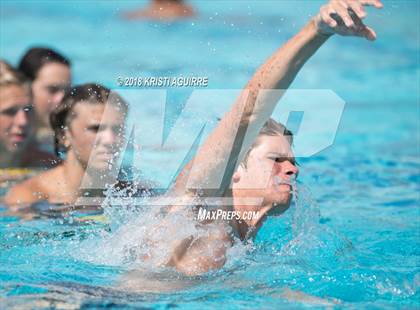 Thumbnail 1 in Arlington @ Paloma Valley photogallery.
