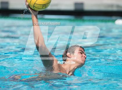 Thumbnail 3 in Arlington @ Paloma Valley photogallery.