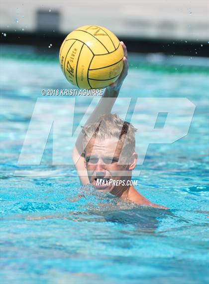 Thumbnail 1 in Arlington @ Paloma Valley photogallery.