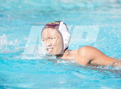 Thumbnail 2 in Arlington @ Paloma Valley photogallery.