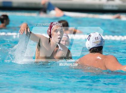 Thumbnail 2 in Arlington @ Paloma Valley photogallery.
