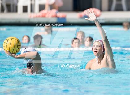 Thumbnail 1 in Arlington @ Paloma Valley photogallery.