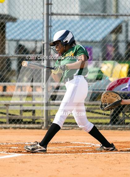 Thumbnail 3 in Amelia County vs Havelock (DH Conley Easter Tournament) photogallery.