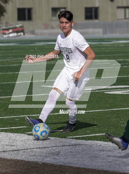 Thumbnail 2 in Hamilton vs. Rivera (CIF Los Angles City Section D3 Final) photogallery.