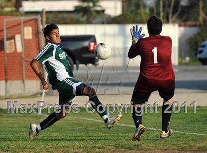 Thumbnail 2 in Schurr @ Keppel photogallery.