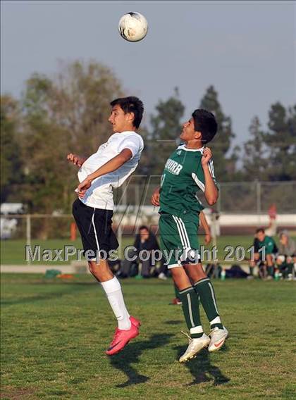 Thumbnail 3 in Schurr @ Keppel photogallery.