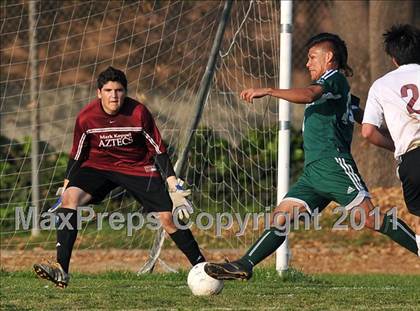 Thumbnail 1 in Schurr @ Keppel photogallery.