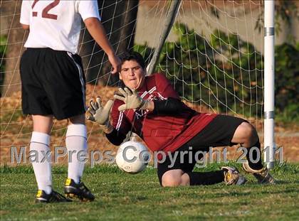 Thumbnail 1 in Schurr @ Keppel photogallery.