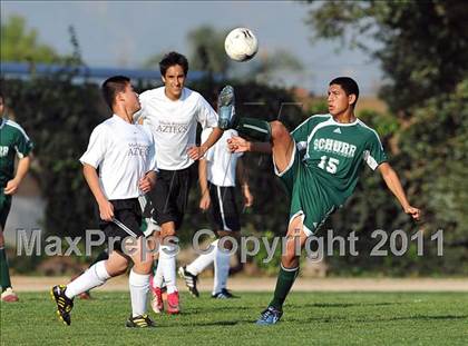Thumbnail 1 in Schurr @ Keppel photogallery.