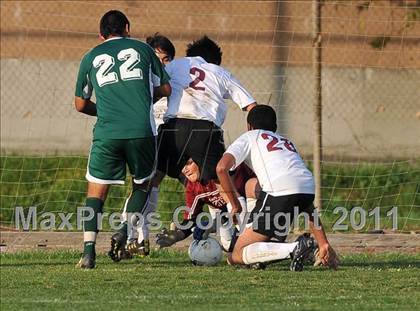 Thumbnail 1 in Schurr @ Keppel photogallery.