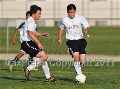Thumbnail 2 in Schurr @ Keppel photogallery.