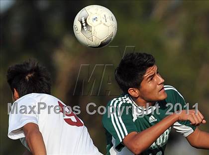 Thumbnail 1 in Schurr @ Keppel photogallery.