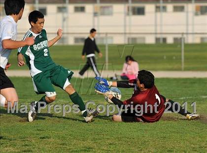 Thumbnail 1 in Schurr @ Keppel photogallery.