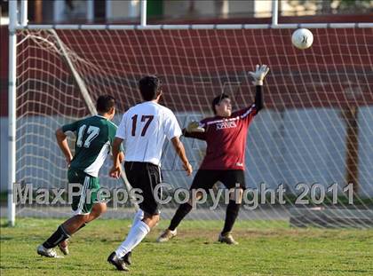 Thumbnail 1 in Schurr @ Keppel photogallery.