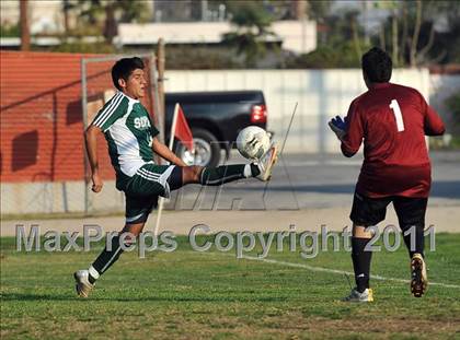 Thumbnail 1 in Schurr @ Keppel photogallery.
