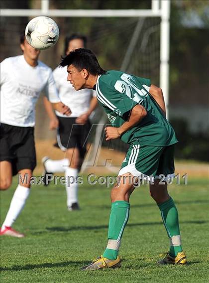 Thumbnail 2 in Schurr @ Keppel photogallery.