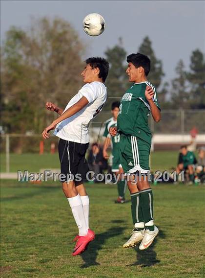 Thumbnail 2 in Schurr @ Keppel photogallery.