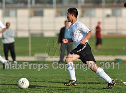 Thumbnail 1 in Schurr @ Keppel photogallery.