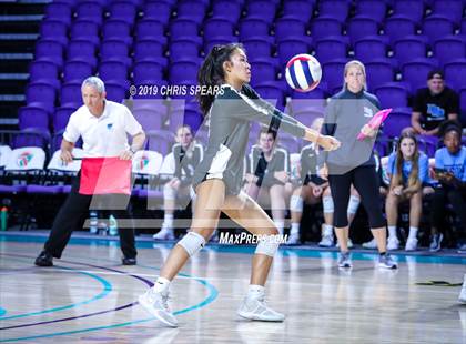 Thumbnail 1 in Palm Beach Gardens vs. Hagerty (FHSAA 7A Final) photogallery.