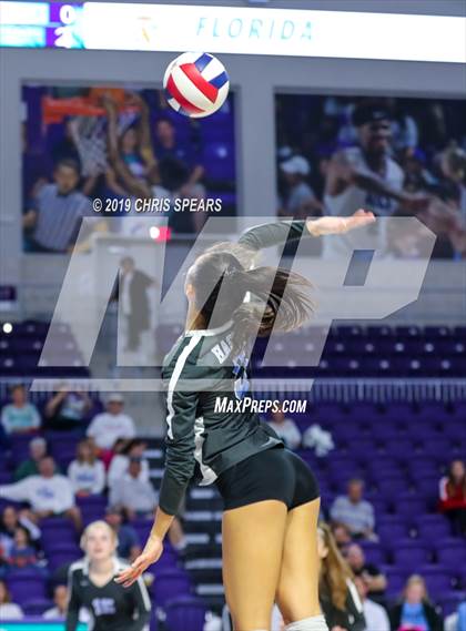 Thumbnail 3 in Palm Beach Gardens vs. Hagerty (FHSAA 7A Final) photogallery.