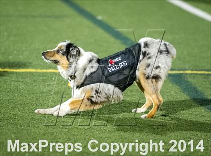 Thumbnail 3 in Brighton @ Spanish Fork photogallery.