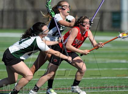 Thumbnail 1 in Guilderland @ Brewster photogallery.