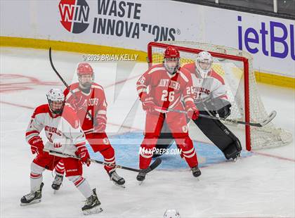 Thumbnail 1 in Catholic Memorial vs St. John's (MIAA Division 1 Final) photogallery.