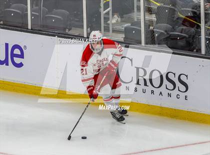 Thumbnail 3 in Catholic Memorial vs St. John's (MIAA Division 1 Final) photogallery.