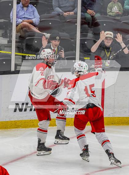Thumbnail 2 in Catholic Memorial vs St. John's (MIAA Division 1 Final) photogallery.
