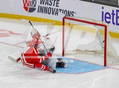 Thumbnail 3 in Catholic Memorial vs St. John's (MIAA Division 1 Final) photogallery.