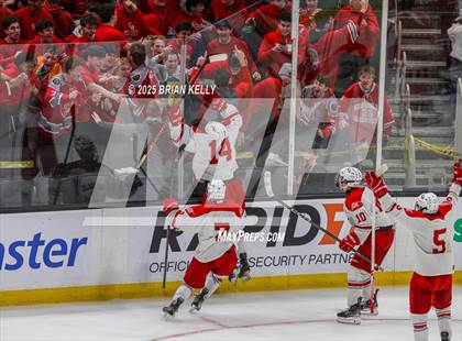 Thumbnail 1 in Catholic Memorial vs St. John's (MIAA Division 1 Final) photogallery.