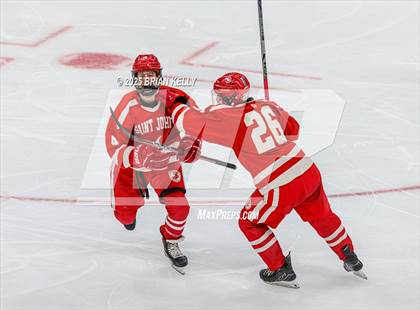 Thumbnail 2 in Catholic Memorial vs St. John's (MIAA Division 1 Final) photogallery.