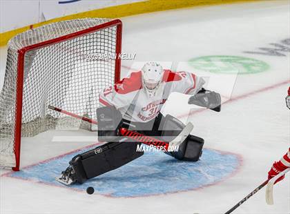 Thumbnail 3 in Catholic Memorial vs St. John's (MIAA Division 1 Final) photogallery.