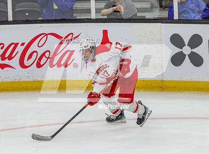 Thumbnail 2 in Catholic Memorial vs St. John's (MIAA Division 1 Final) photogallery.