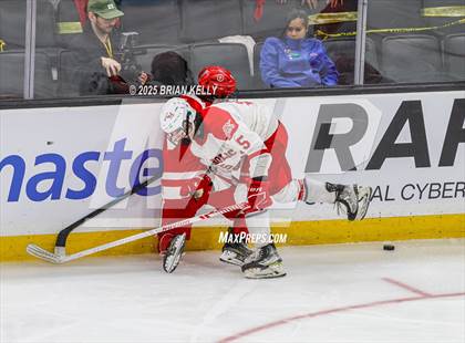 Thumbnail 2 in Catholic Memorial vs St. John's (MIAA Division 1 Final) photogallery.