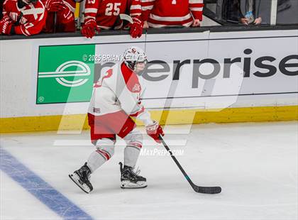 Thumbnail 1 in Catholic Memorial vs St. John's (MIAA Division 1 Final) photogallery.