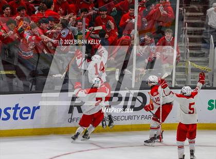 Thumbnail 2 in Catholic Memorial vs St. John's (MIAA Division 1 Final) photogallery.