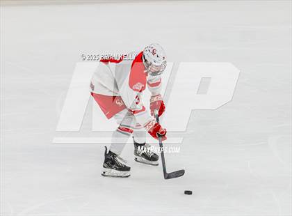 Thumbnail 3 in Catholic Memorial vs St. John's (MIAA Division 1 Final) photogallery.