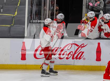 Thumbnail 3 in Catholic Memorial vs St. John's (MIAA Division 1 Final) photogallery.