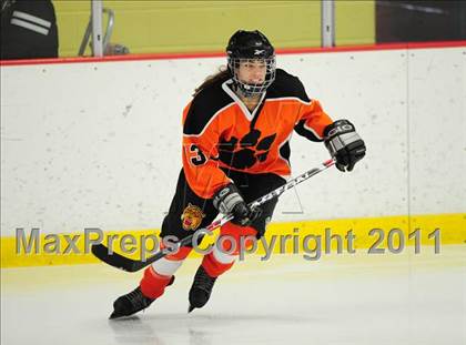 Thumbnail 1 in Ridgefield vs.  New Canaan (State Final) photogallery.